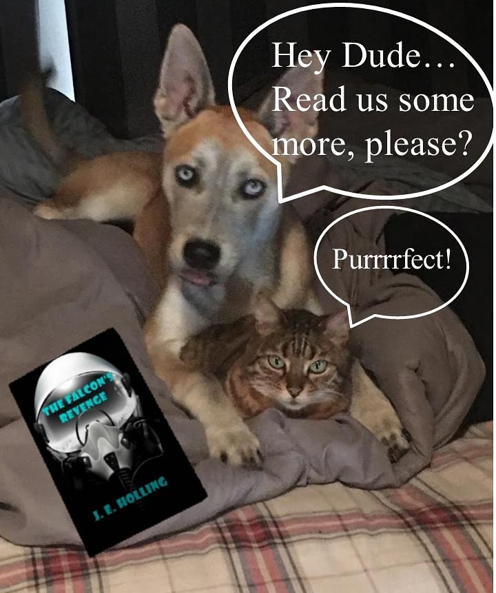 jeholling's tweet photo. @helenaB55412423 Aviation thrillers:
https://t.co/Q8UtF3rpiL https://t.co/InS0WGk7K2