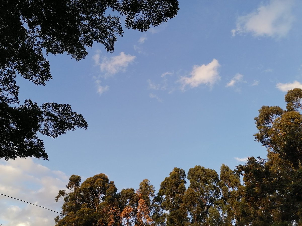 MaithoThige's tweet photo. https://t.co/phUAZlCHUI