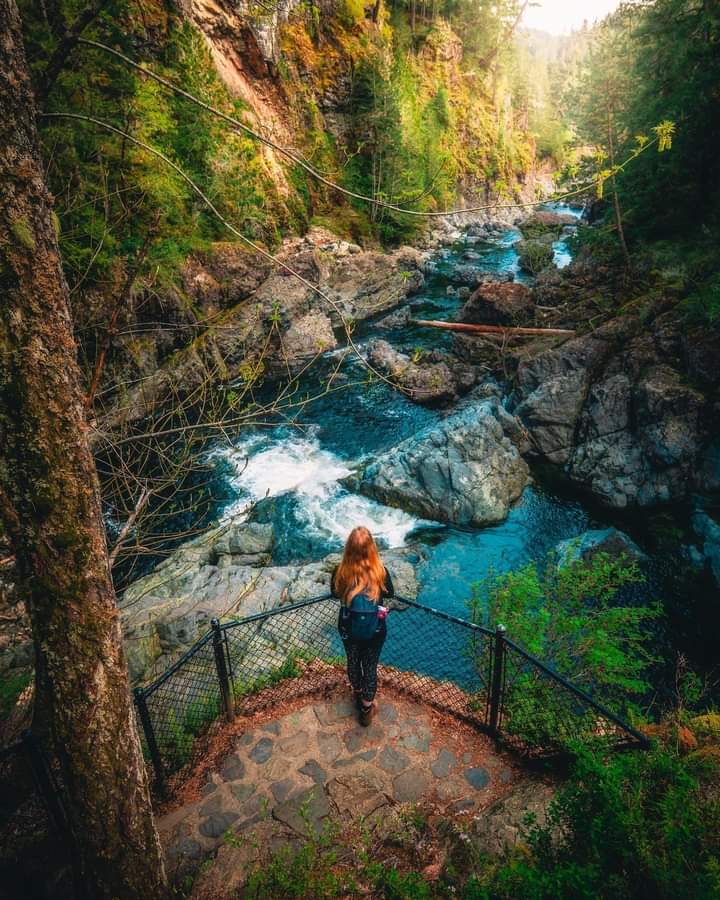 ViajesVV's tweet photo. Roadtrip 🚐 por la Columbia Británica. La ruta marina del Pacífico es la mejor opción para los amantes del buen comer🍴.  Atrevete y viaja a Canada!!
Viaja, Vive y Vuela con nosotros!! ✈
Pregunta por nuestros diferentes itinerarios. Aparta y viaja en 2021!!🧳
#columbiabritanica https://t.co/9LyO1m1aRg