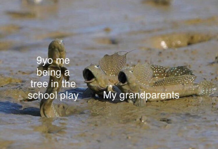 RespectfulMemes's tweet photo. https://t.co/1QPwNN7WxX