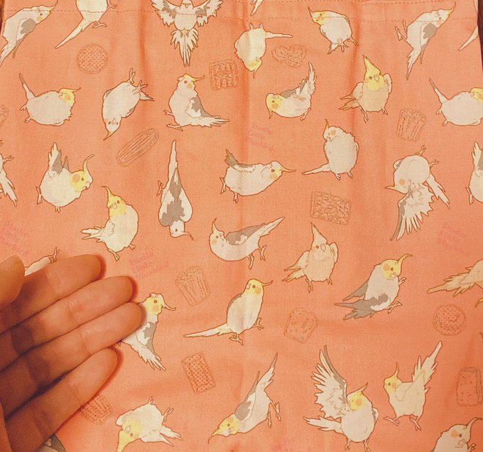 袋詰めのtwitterイラスト検索結果 古い順