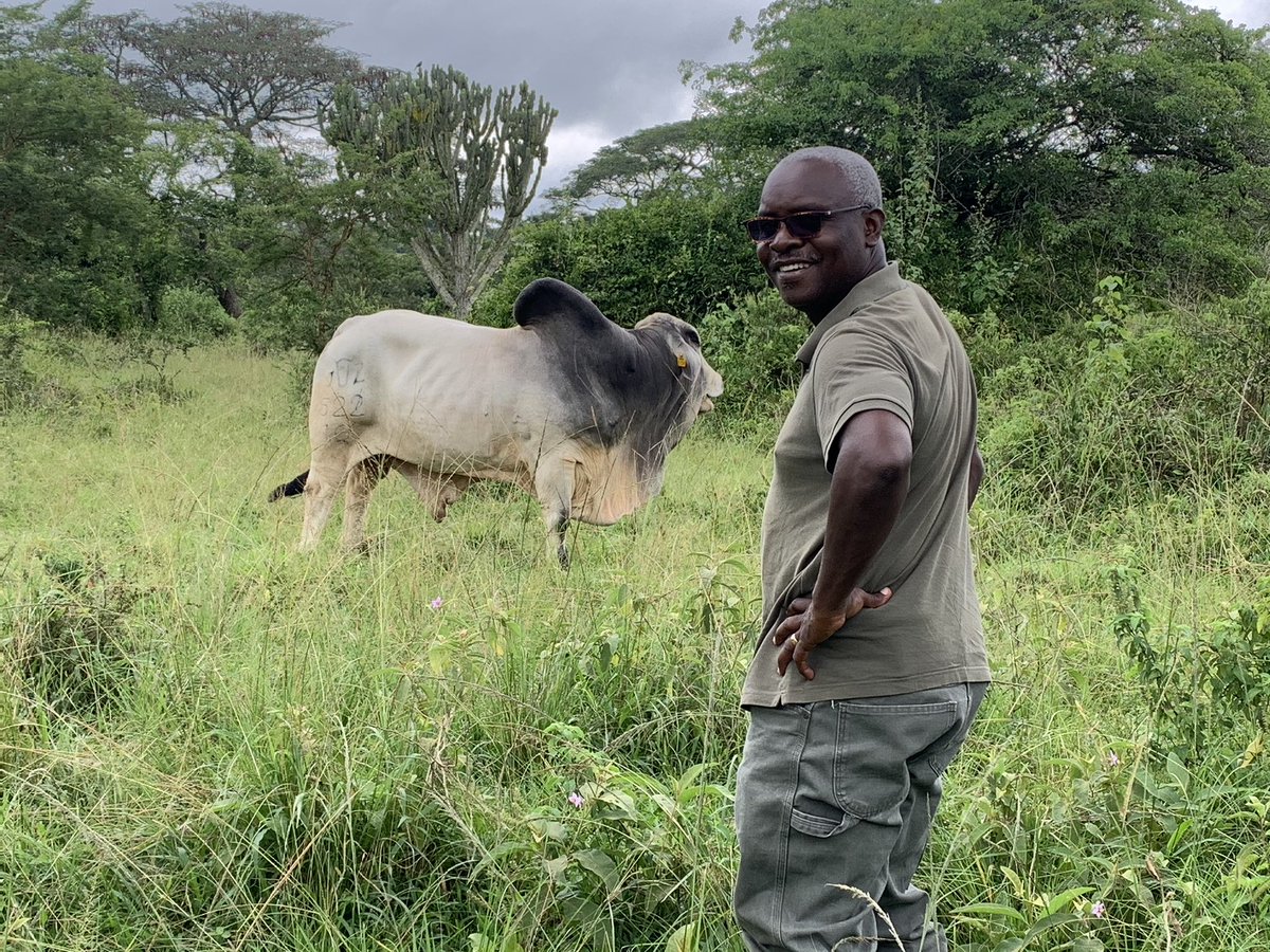 FFarmEstates1's tweet photo. Pleasure hosting you ndugu @rkabushenga in Lugushulu Sembabule, good insights into the future of farming! 

@RugyeyoFarm @akajosh1 @banzafrank https://t.co/hqmYvFugoH