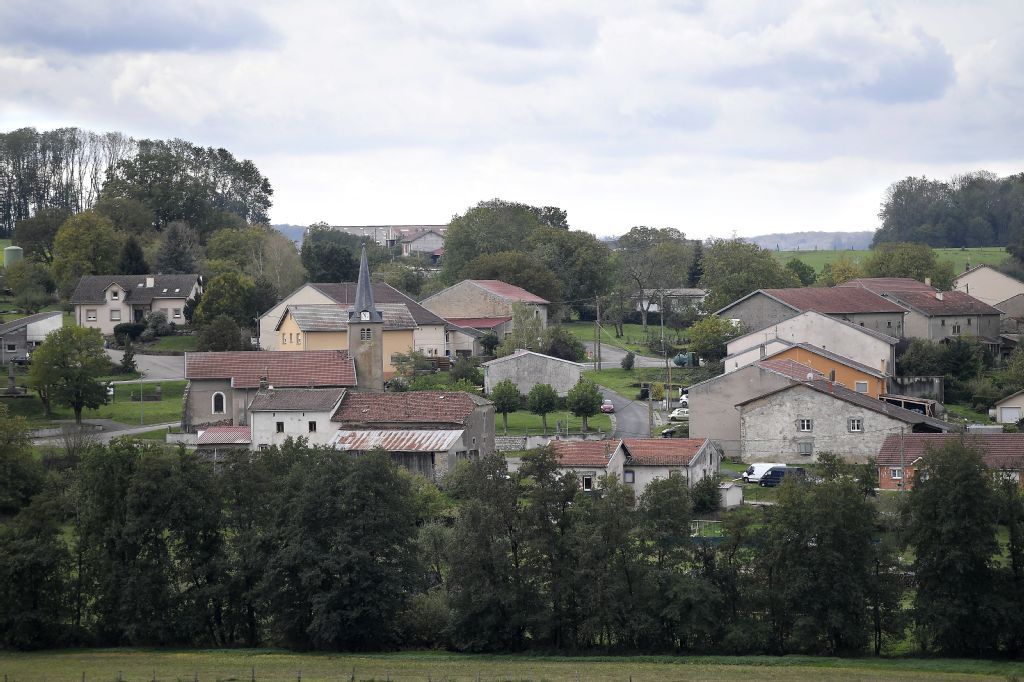 Agence France-Presse tweet media