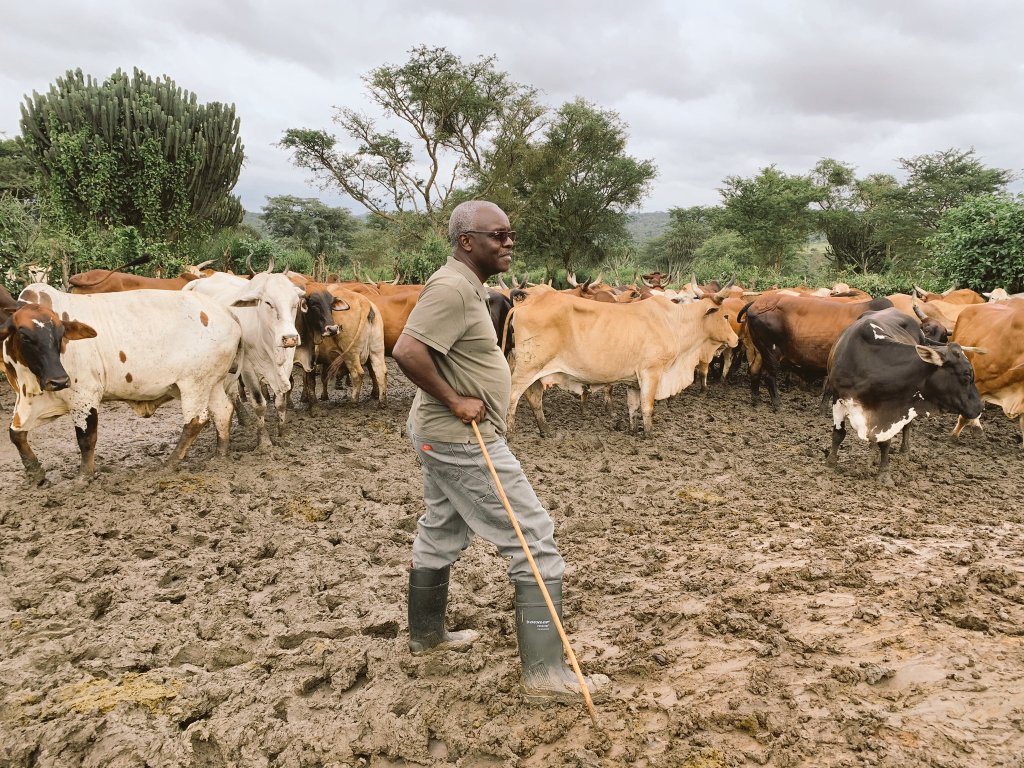 FFarmEstates1's tweet photo. Pleasure hosting you ndugu @rkabushenga in Lugushulu Sembabule, good insights into the future of farming! 

@RugyeyoFarm @akajosh1 @banzafrank https://t.co/hqmYvFugoH