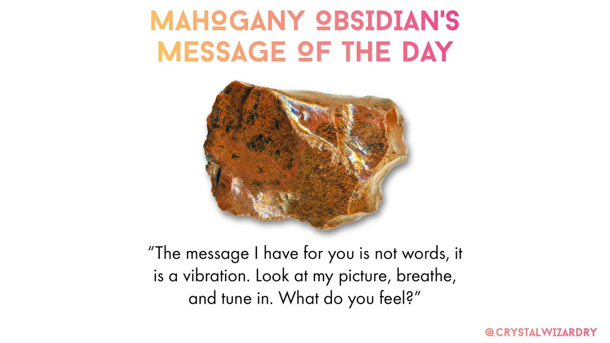 CrystalWizardry's tweet photo. Mahogany Obsidian’s Message of the Day

“The message I have for you is not words, it is a vibration. Look at my picture, breathe, and tune in. What do you feel?”

#crystalhealing #crystals #healingcrystals #healingstones 🧙‍♂️ #crystalwizardry https://t.co/Fj47a6luWP