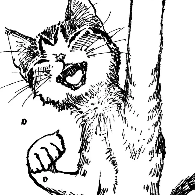 @sorcier_chaton まかせるにゃー! 