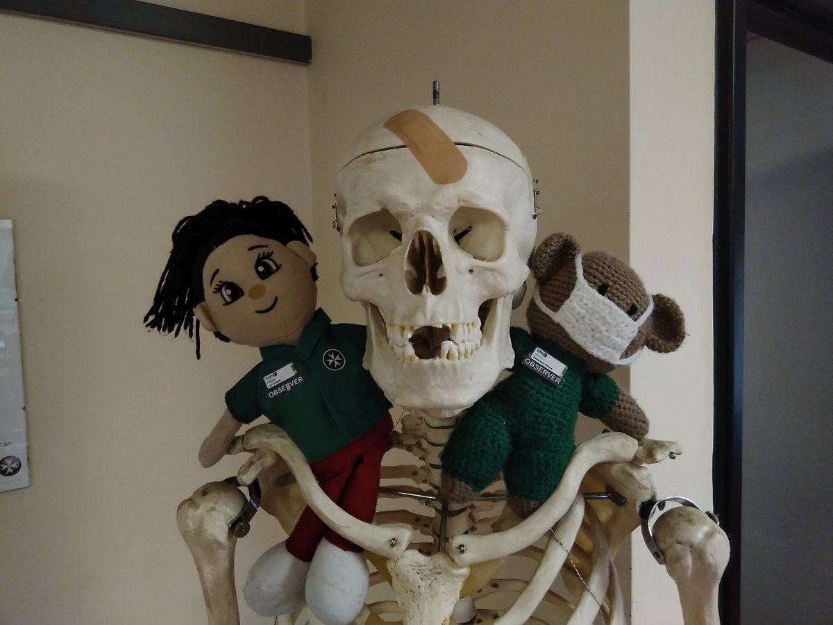 SJA_Mascots's tweet photo. We made a friend while supporting @SJAVolTraining!!! We call him boney. He doesn't say much 😔

@StJohnAmbulance #MySJADay #StJohnPeople https://t.co/gALQXG2hq4