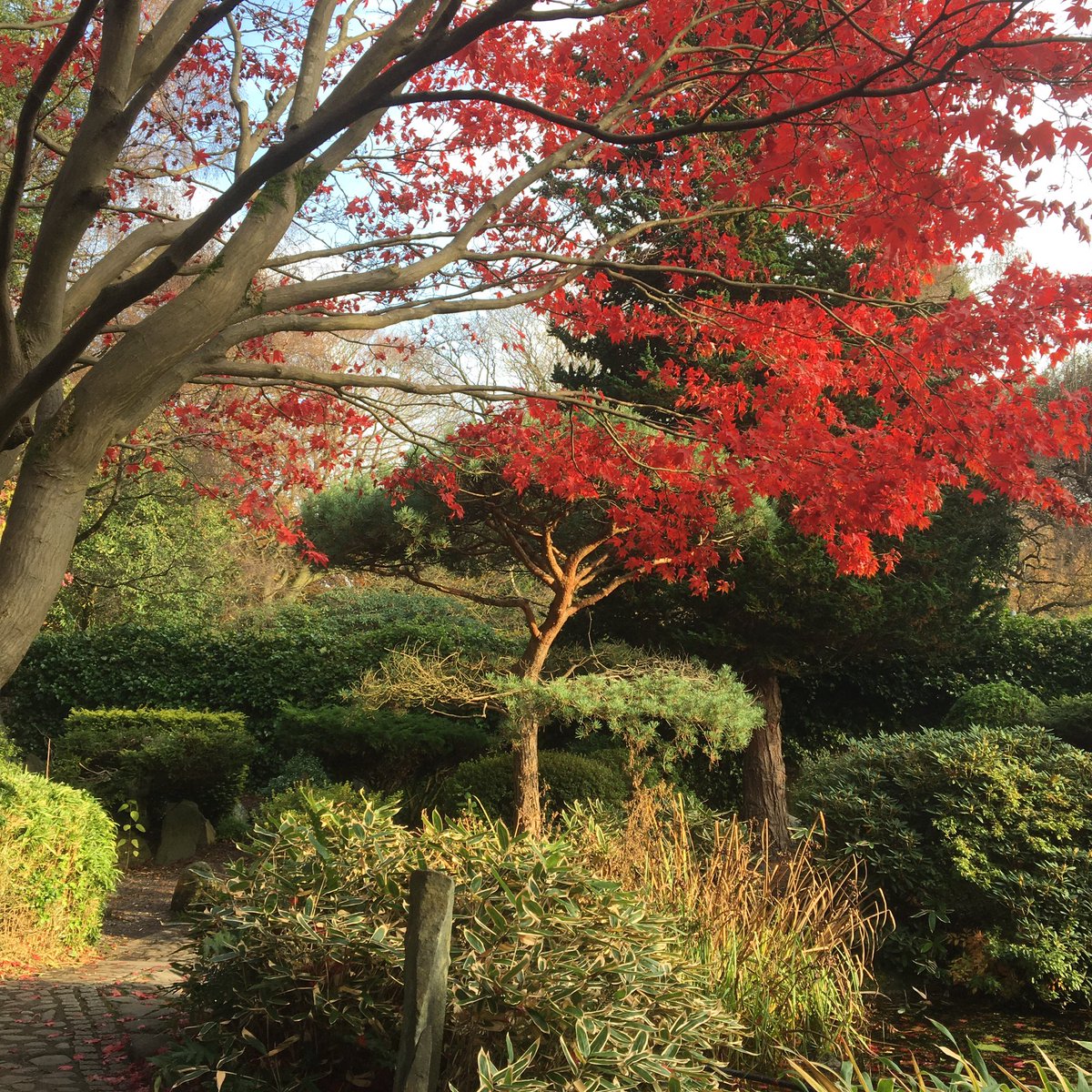 MorvenProctor's tweet photo. Calderstones Park showing off again. https://t.co/JaMTP3ONRY