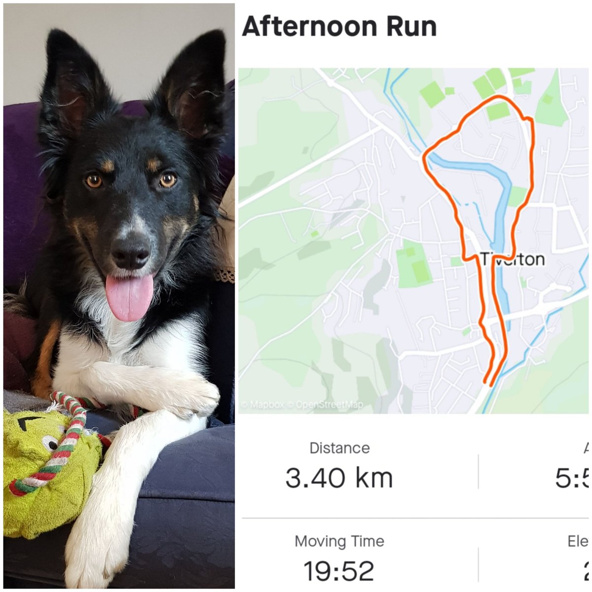 boldie40's tweet photo. No umpiring management needed for todays outing! Cards and whistles stayed in my bag and no back chat eitherπ€£π
#amansbestfriend π
#thirdteamfitness πββοΈ
#ificandoit π΄ https://t.co/jxETRVFPBg