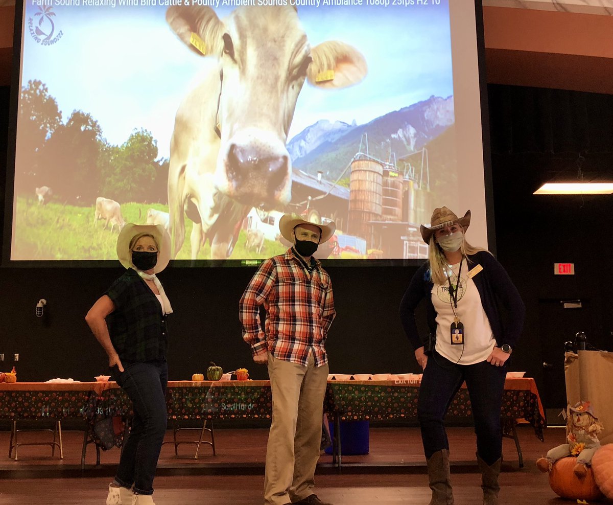 Treeline Elementary tweet media