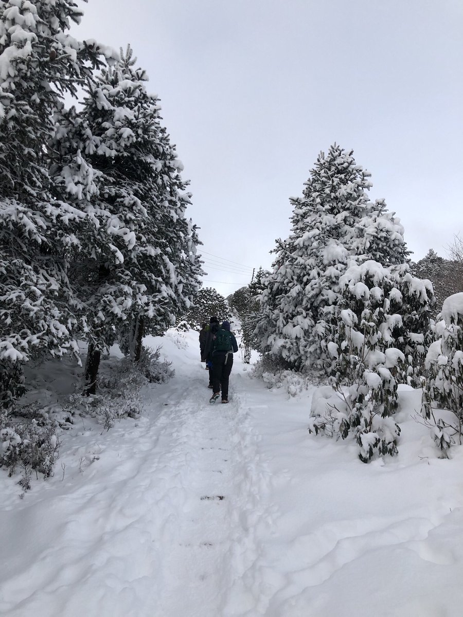 NepalPyramids's tweet photo. Welcoming a winter in Nepal #Winteriscoming #innepal #nepalpyramids    https://t.co/nRMddK7Sjl https://t.co/8E79bbyGHg