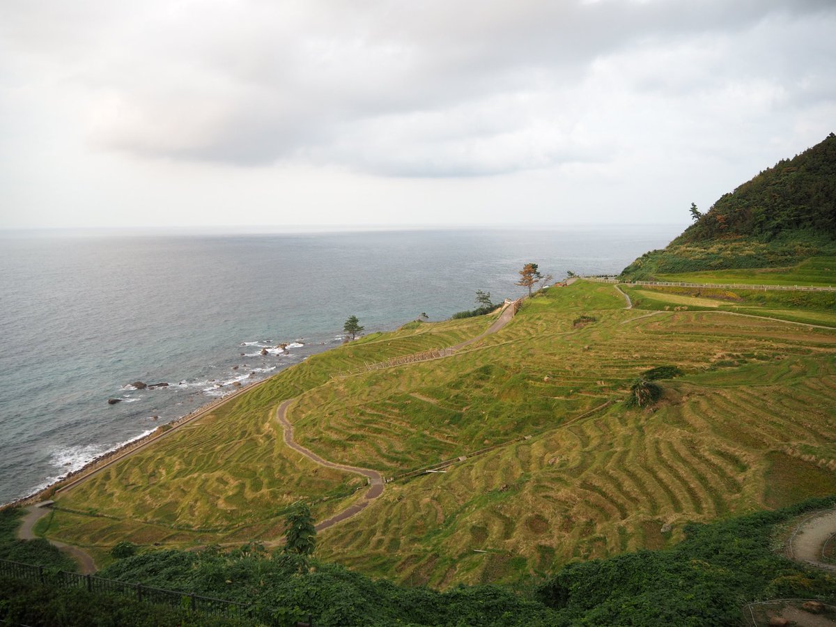 minoblog123's tweet photo. 【北陸めぐり8日目】
10/3

雨晴海岸では朝から最高の朝日が拝めました☀️

境内に芝生のある神社は初めて見ました😳😳😳

青の洞窟も千枚田も綺麗な風景が目白押しでした！！
石川県もいいところです😁

#バイク一人旅
#gixxer
#雨晴海岸
#高岡大仏
#瑞龍寺
#見附島
#珠洲岬
#白米千枚田
#ブログ初心者 https://t.co/MDdKd57BJr