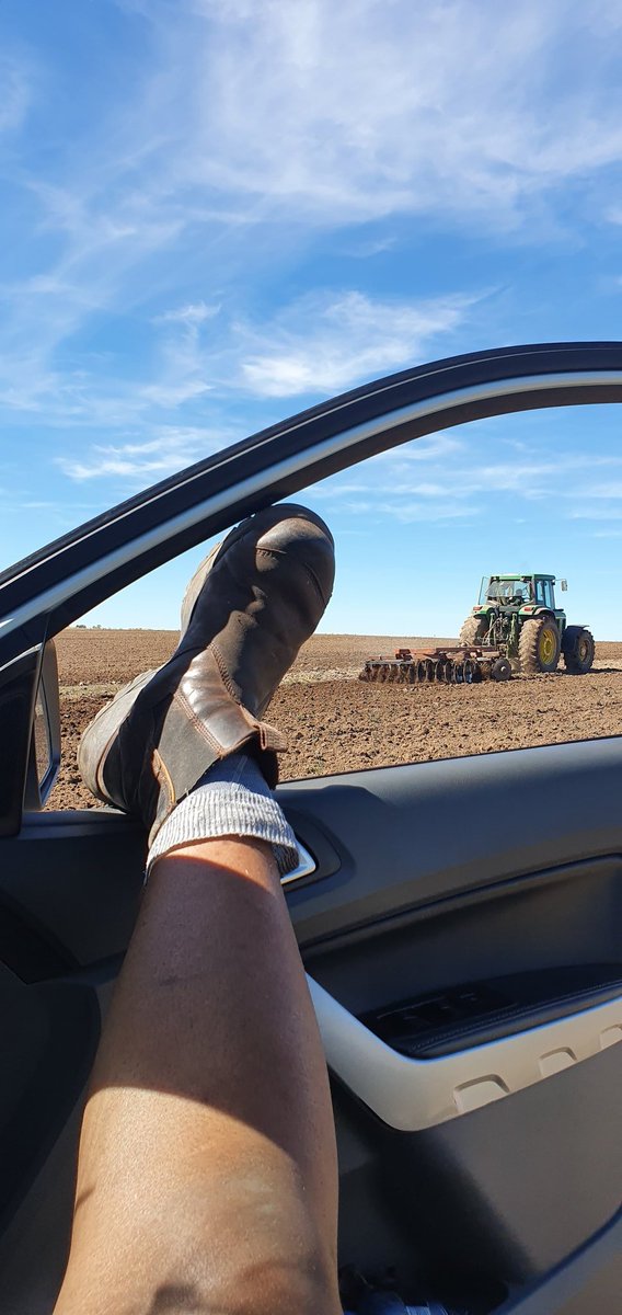 NkosanaMtambo's tweet photo. Working the Land🚜🌱 https://t.co/bDytnRYSTu