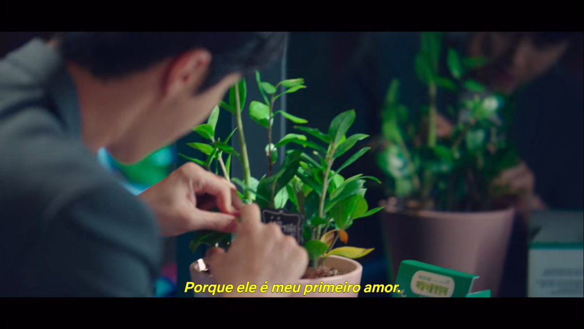 houminghaogf's tweet photo. silêncio, a dorameira que shippa errado acabou de desmaiar #StartUp https://t.co/dJoEkgAnNl