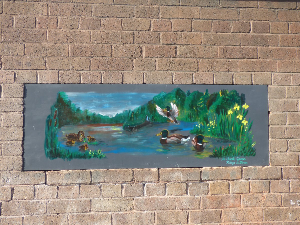 Elliott Brown tweet media