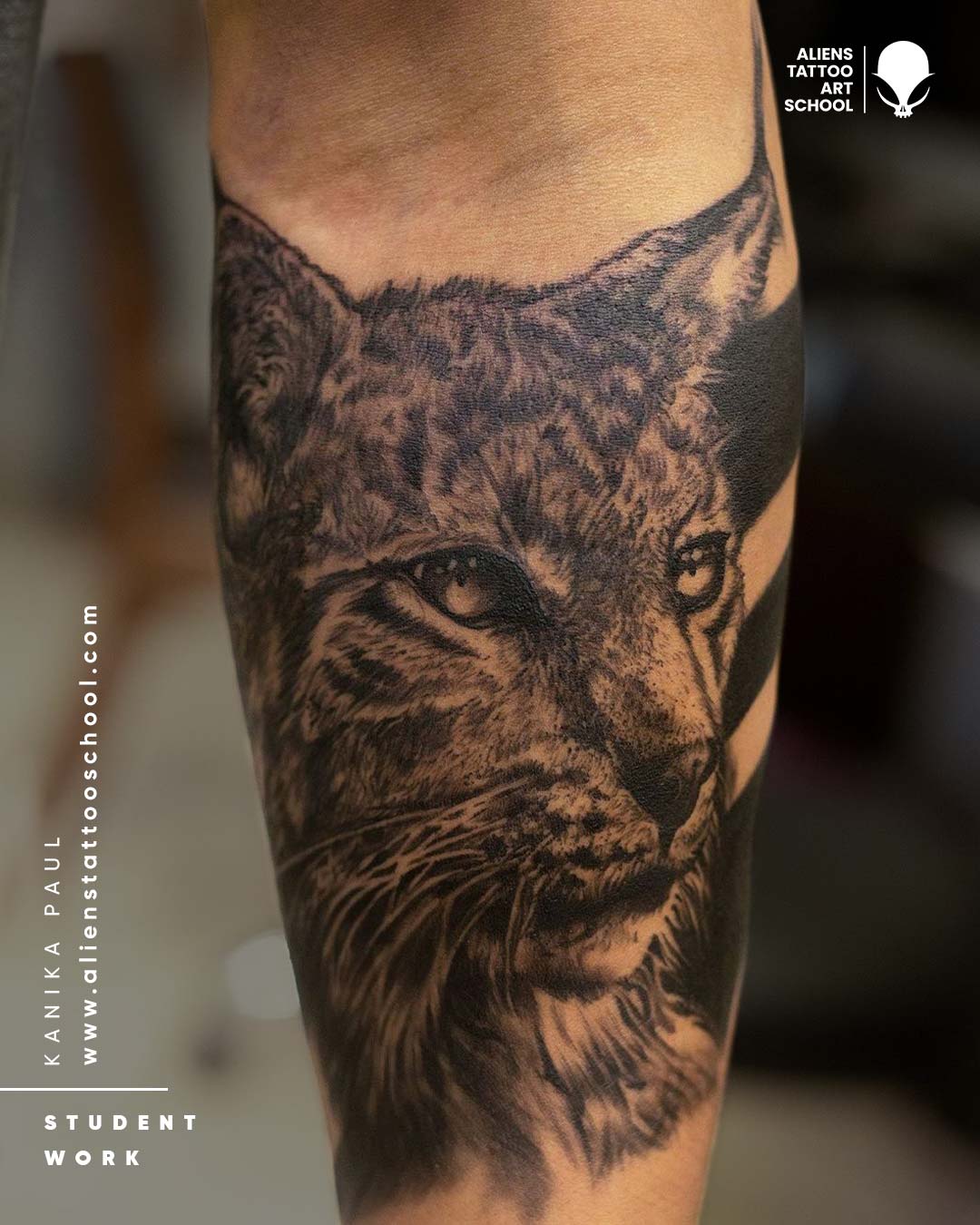 Tattoo Courses Offered Aliens Tattoo Art School