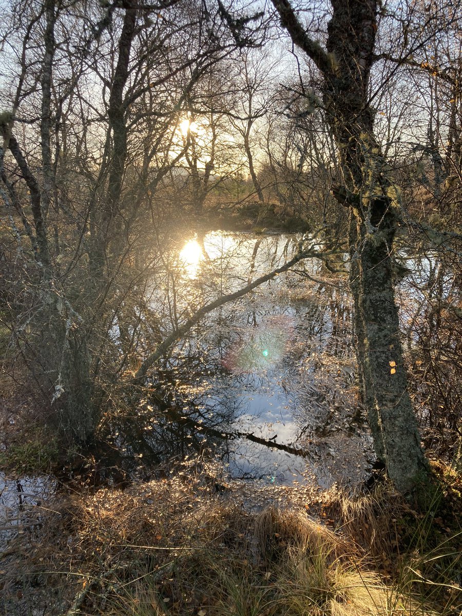 Grant Moir tweet media