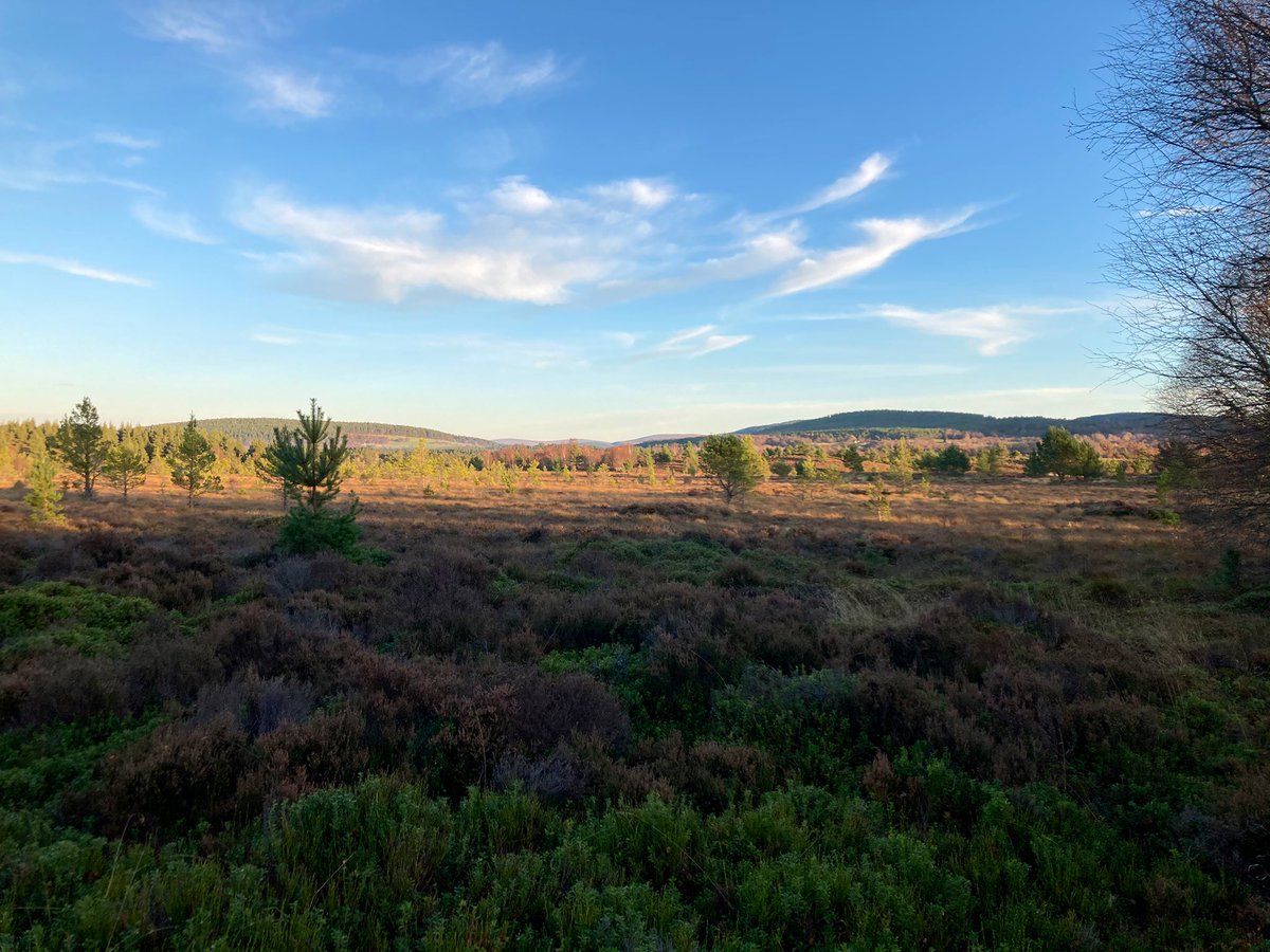 Grant Moir tweet media