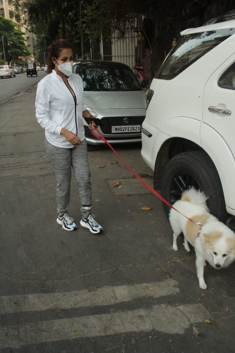MovieTalkies's tweet photo. Pap Stories from the streets of Bombay! 

#malaikaarora #sophiechoudry #doglovers #star #papprazzi #spotted #bollywood #movietalkies #papped https://t.co/FdzfChBsjH