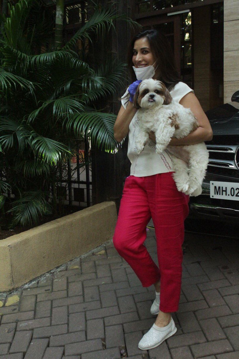 MovieTalkies's tweet photo. Pap Stories from the streets of Bombay! 

#malaikaarora #sophiechoudry #doglovers #star #papprazzi #spotted #bollywood #movietalkies #papped https://t.co/FdzfChBsjH