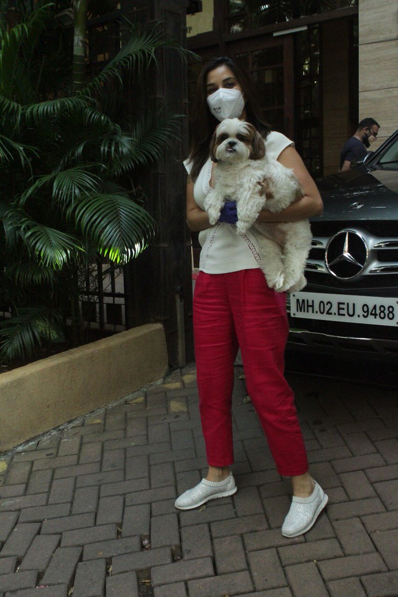 MovieTalkies's tweet photo. Pap Stories from the streets of Bombay! 

#malaikaarora #sophiechoudry #doglovers #star #papprazzi #spotted #bollywood #movietalkies #papped https://t.co/FdzfChBsjH