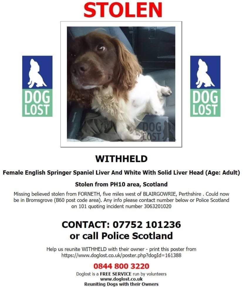MissingPetsGB's tweet photo. 🐕⚡ #twitterstorm SUNDAY 8 NOVEMBER 8-9pm 
#FindStolenM 👇👇
Please join to help her home 🙏 https://t.co/9QnzuWiOQY