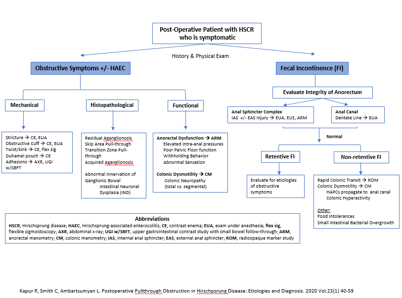 molivahemker's tweet image. @seattlechildren Dr. Lusine Ambartsumyan provides excellent information on managing children after their surgery for Hirschsprung&apos;s disease or anorectal malformations. #NASPGHAN20 Postgrad course #GITwitter #pedsgitwitter