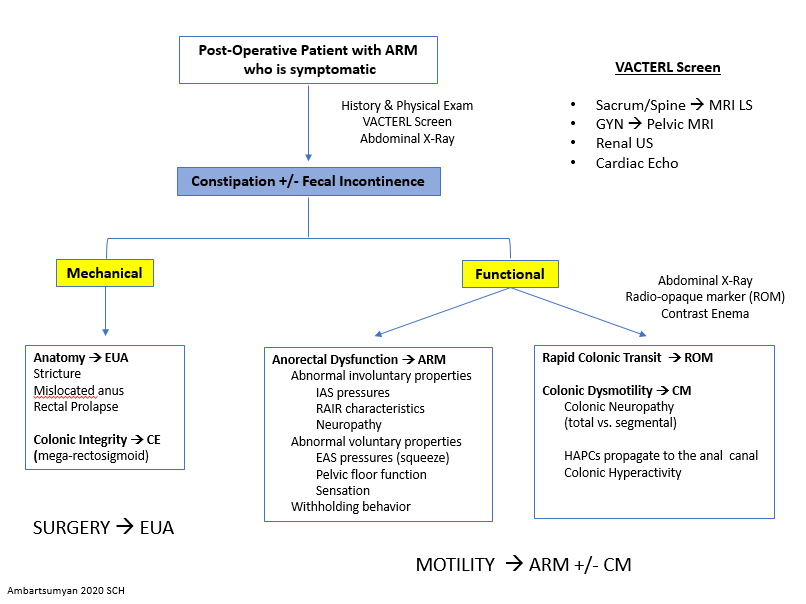 molivahemker's tweet image. @seattlechildren Dr. Lusine Ambartsumyan provides excellent information on managing children after their surgery for Hirschsprung&apos;s disease or anorectal malformations. #NASPGHAN20 Postgrad course #GITwitter #pedsgitwitter