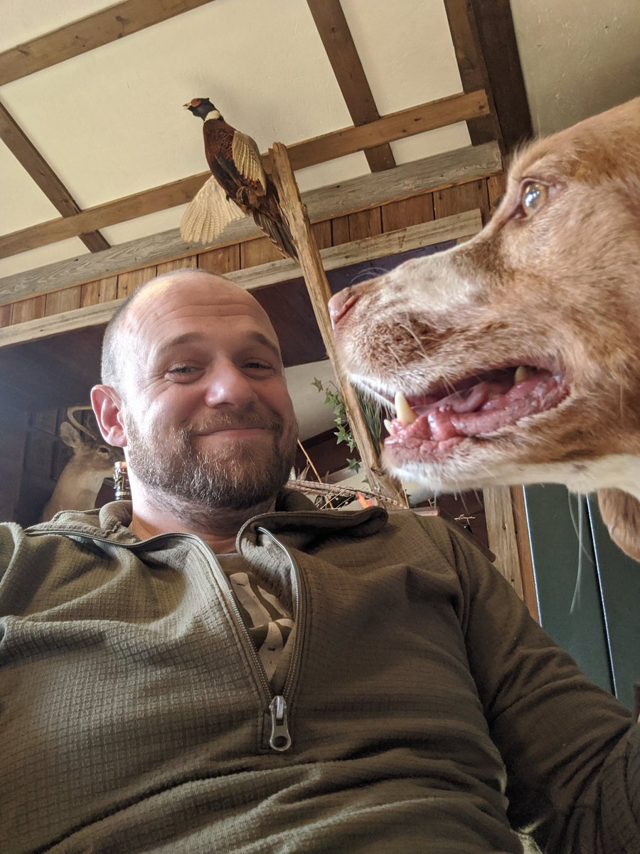 RyanLMack1's tweet image. A morning of pheasant hunting was just what I needed. #OhioPheasant