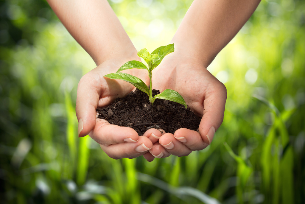 MOMeo's tweet photo. Empowered Living: How to Choose Growth in the Face of Change | by @SampsonSandra https://t.co/1AAfYNQJTj https://t.co/tLMjMaldlb