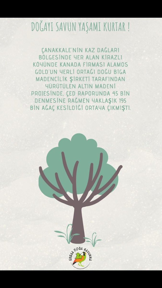 erbaadgsavunma's tweet photo. #siyanürsüzerbaa Ormanlarımız yok olacak! @temavakfi  @Ertugrulkaragol  @Greenpeace_Med  #kazdağlarıhepimizin  @kazdaglariist @kazdagikoruma https://t.co/RIsFtwqQ1F