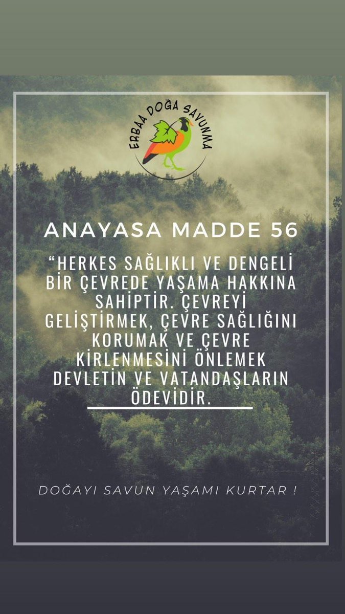 erbaadgsavunma's tweet photo. Nefesimiz kesilmesin! #siyanürsüzerbaa https://t.co/J8cP6G5gtN