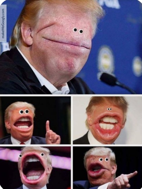 danazedawesome's tweet photo. @realDonaldTrump https://t.co/5hN0L4y4dA