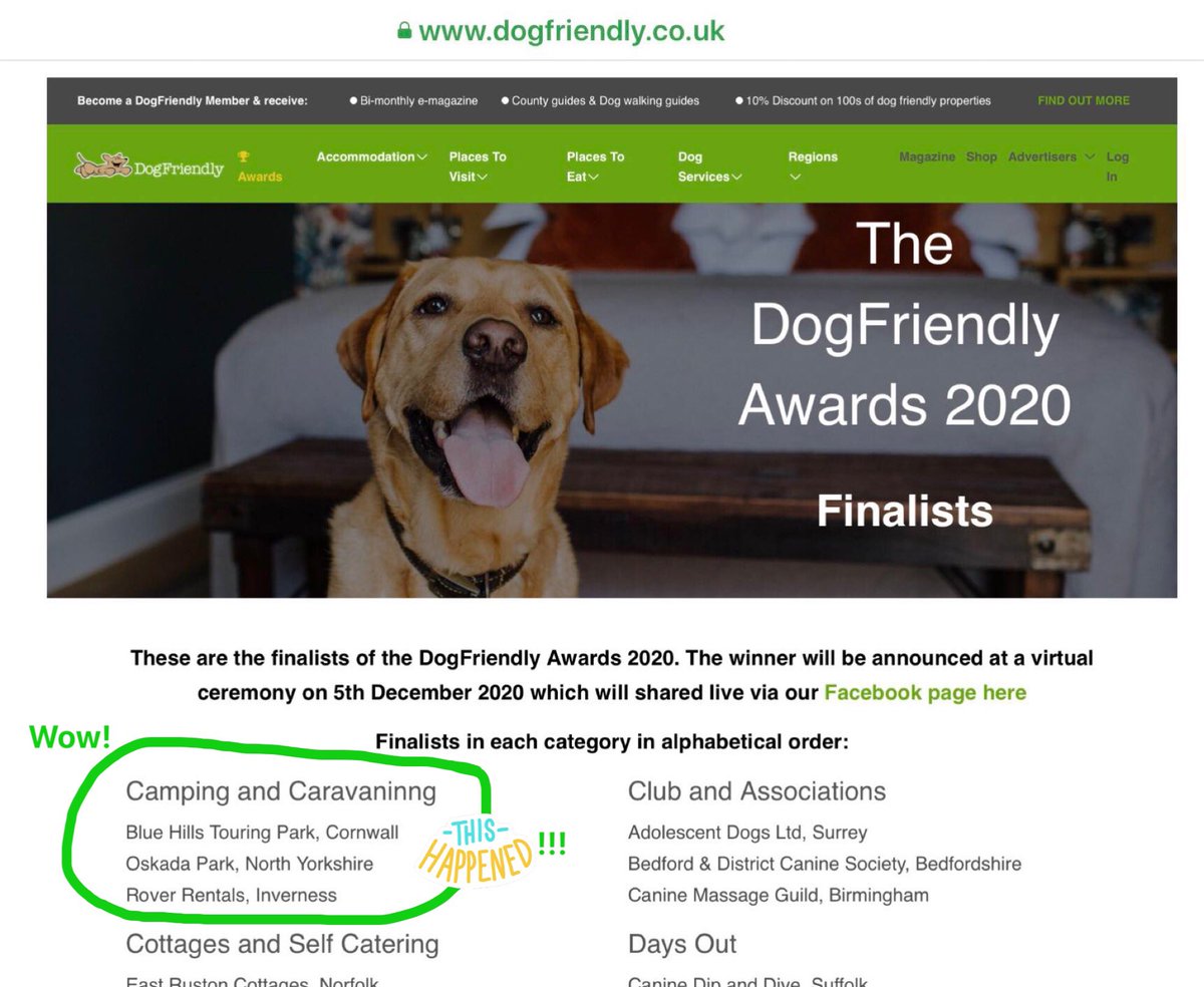 Blue Hills Camping tweet media