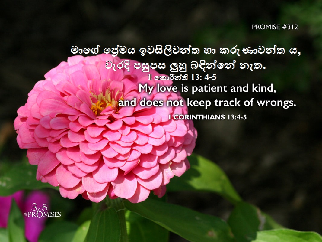 MAARFernando's tweet photo. My love is patient and kind, and does not keep track of wrongs. (Read: 1 Corinthians 13:4-5).
මාගේ ප්‍රේමය ඉවසිලිවන්ත හා කරුණාවන්ත ය, වැරදි පසුපස ලුහු බඳින්නේ නැත. (කියවන්න: 1 කොරින්ති 13: 4-5). https://t.co/JIkvV6tomh