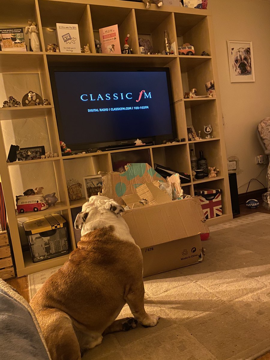 Thank you <a href="/billtu/">Bill Turnbull</a> and <a href="/ClassicFM/">Classic FM</a> from Henry the bulldog, no need for cardboard boxes to distract him tonight. An excellent show tonight and Thursday