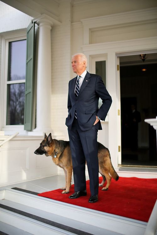 Champ Biden will be the first rescue dog to occupy the White House.