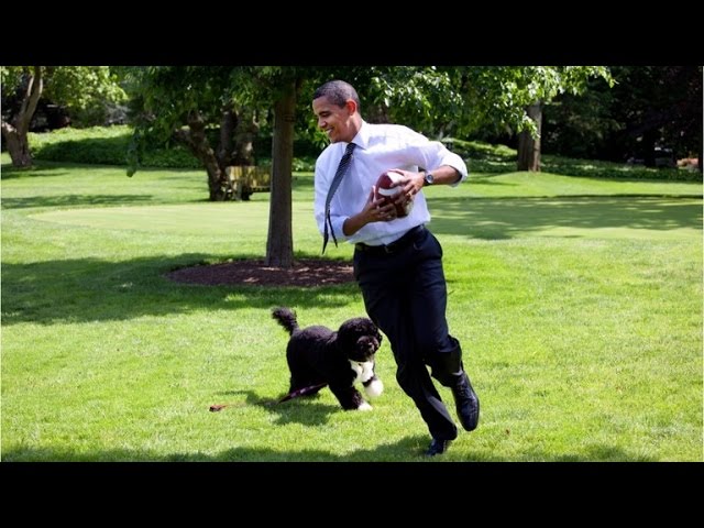 caraweinberger's tweet photo. there will be pets in the white house again 😭💗 https://t.co/WnmFNZMjUE