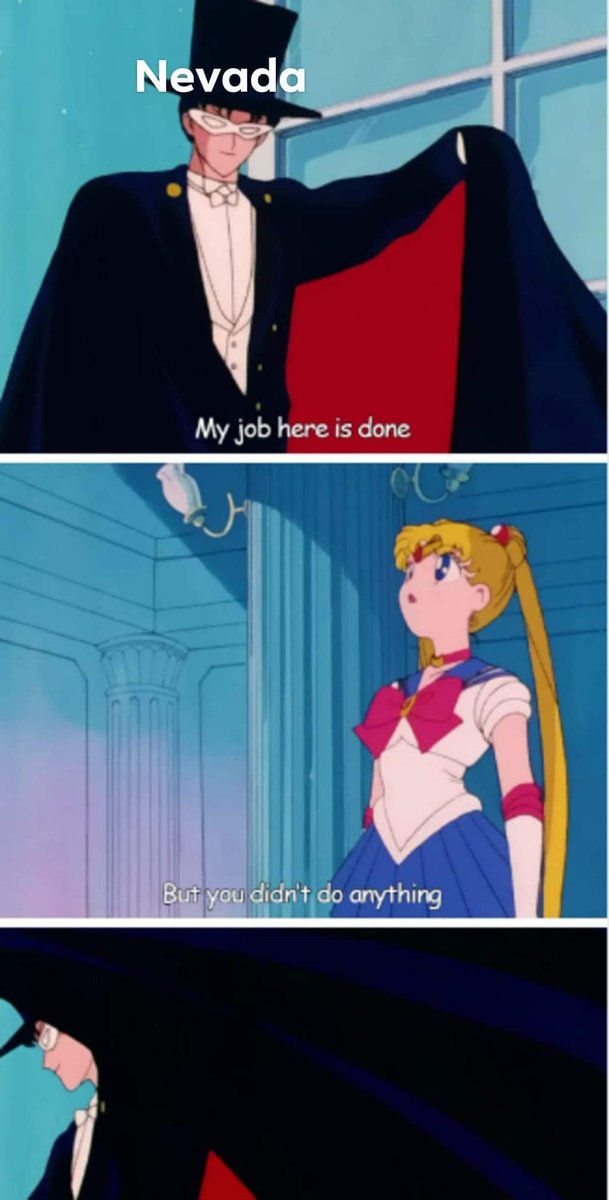 sailorxtasy's tweet photo. All the #sailormoon memes about this #Election2020 https://t.co/8Fkocg7pV7