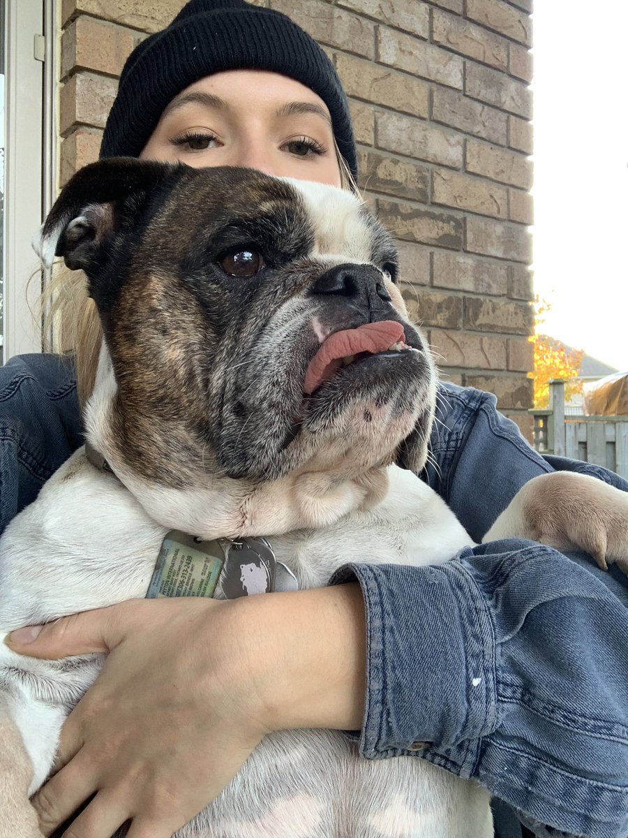chyannespence's tweet photo. who’s gunna tell her she’s not a lapdog https://t.co/EYrDUGooVc