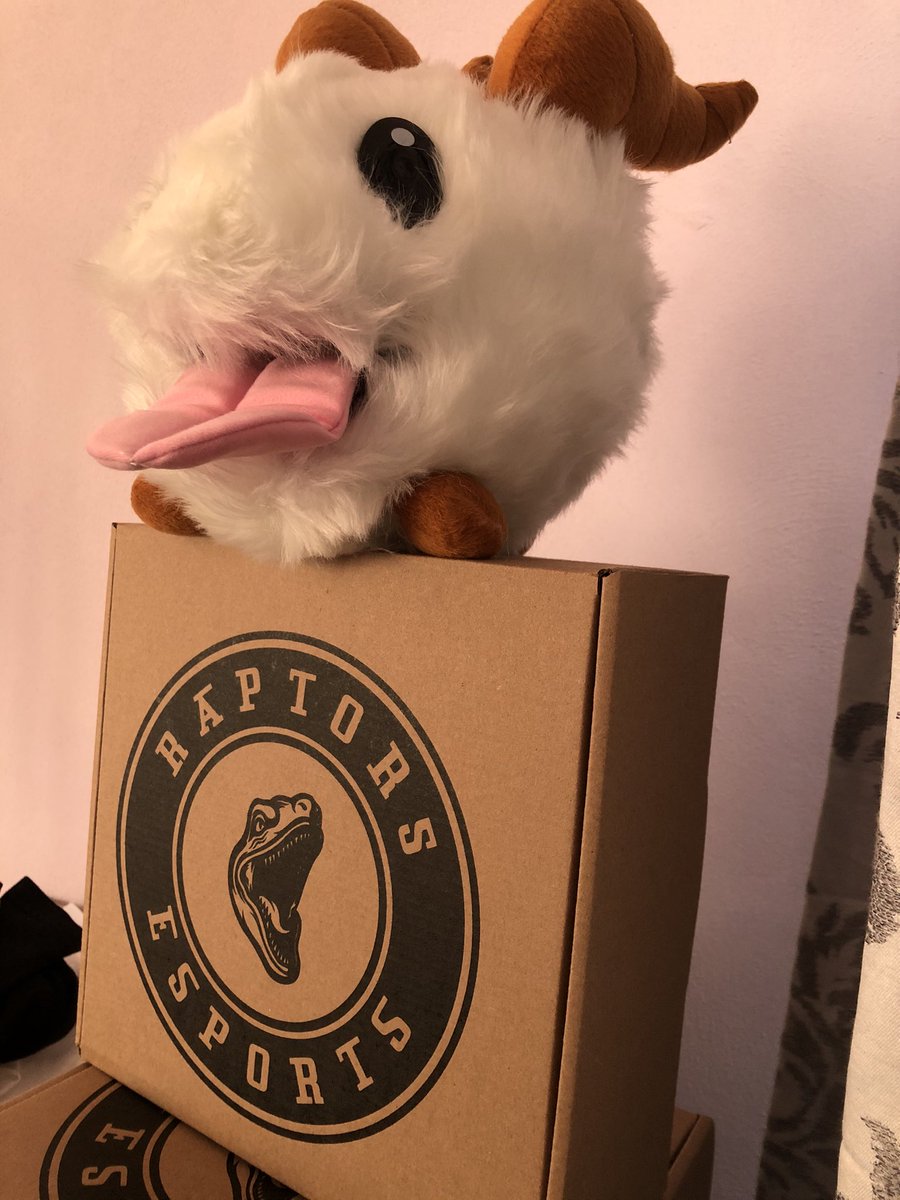 Raptores! Ya llego el tio Poro! Y el ya tiene su #apparel !! Ustedes? #feartheraptor #heartheroar #urban #esports