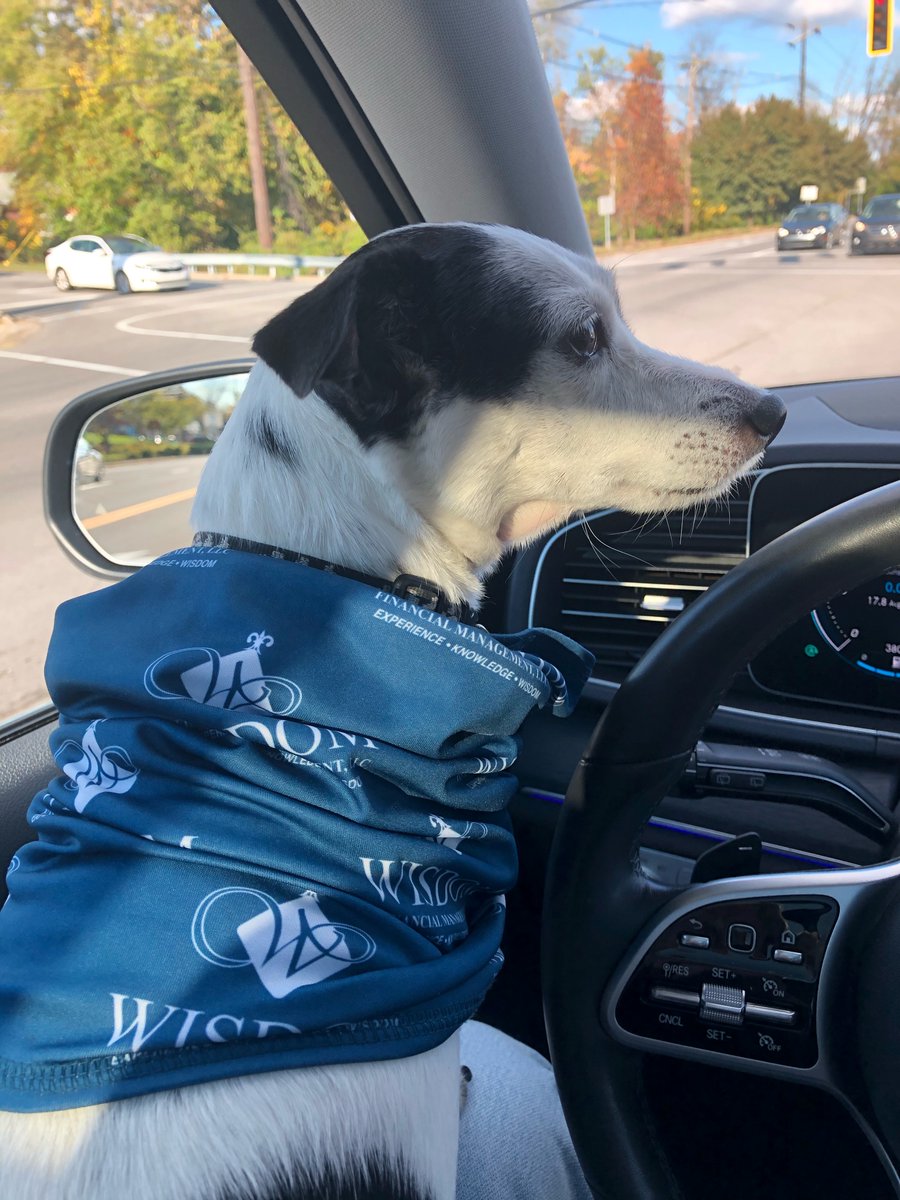 wisdom_fm's tweet photo. Local office-dog sports custom Wisdom Financial gaiter as she heads home for the weekend 🤩 If you want your own Wisdom PPE or other merch, call or email us! 

#FridayFunDay #gaiter #officedog #PetsWorkAtWork #merch https://t.co/3Pv8FAjy51