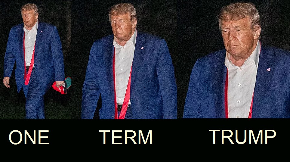 TeaPainUSA's tweet photo. Let's all say it together!  #OneTermTrump https://t.co/qZz7ubqHjQ