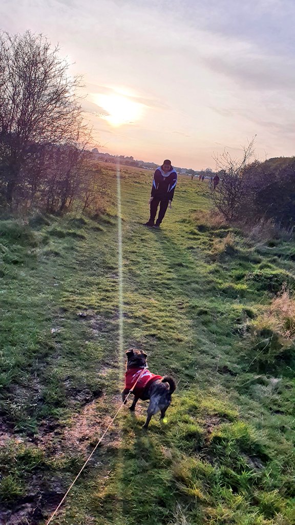 MsHShapley's tweet photo. Lovely Epping today https://t.co/JW5LRN2A7M