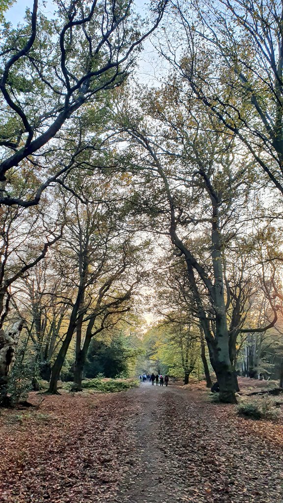 MsHShapley's tweet photo. Lovely Epping today https://t.co/JW5LRN2A7M