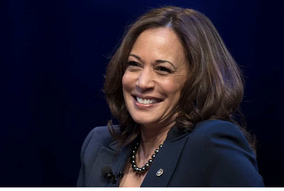 Cate Edwards tweet media