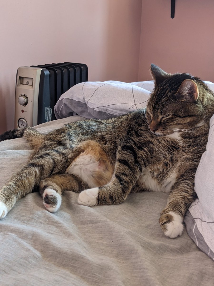 hakuslug's tweet photo. U good? https://t.co/Pui5Uz0LBG