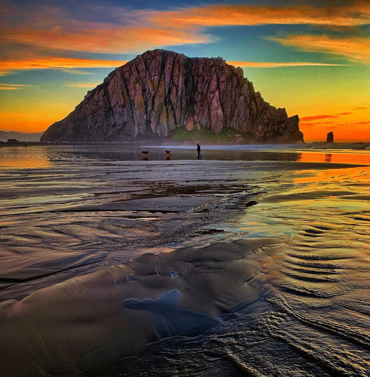 LosOsosBaywood's tweet photo. Another glorious shot by fav photograhper VelourSwan .
.
.
.
#MorroRock #Highway1Dreaming #CaliforniaRoadTrip #BLOV #VisitLosOsosBaywood https://t.co/J4Teayyq4p https://t.co/48DYWTtKMO