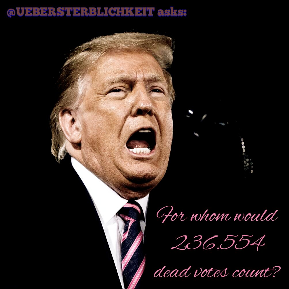 IMMUNFLUCHT's tweet photo. 🇺🇸💀 For whom would 236.554 dead votes count? #nextpresident #president46 #electionresults #potus46 #fakeelection #deadVotersForBiden #deadvotesmatter #DeadVote #CountEveryVote #CountAllTheVotes #bidenvstrump #TrumpvsBiden #voterfraudcommission #electionfraud #COVID19 #covid19USA https://t.co/LoWmnUEqEr