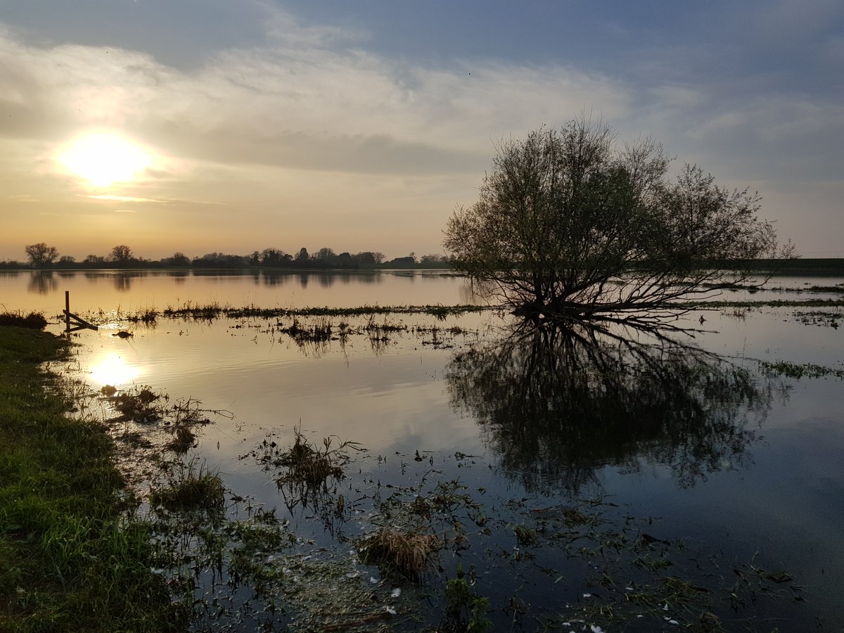 Global_Reg_Svcs's tweet photo. Beautiful evening at #SuttonGault looking over #TheWashes. It's moments like this when it feels good to be alive 😊 https://t.co/FB85f8pRj6